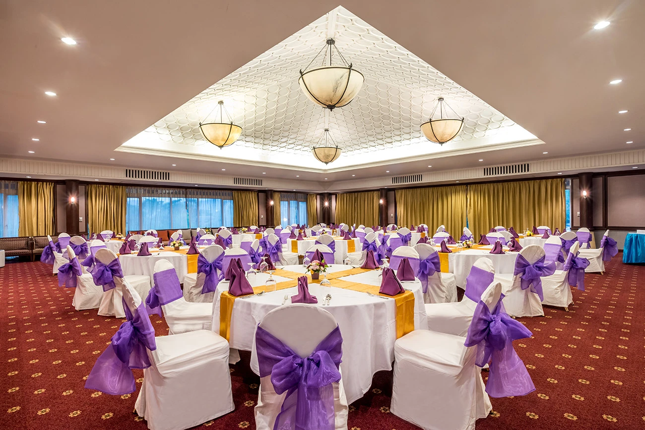 Meeting & Event